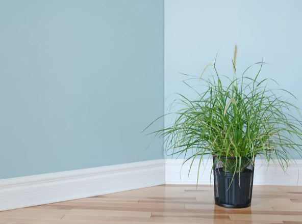 Cheap Skirting Board Without Compromising Quality